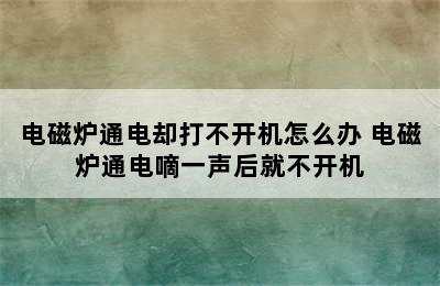 电磁炉通电却打不开机怎么办 电磁炉通电嘀一声后就不开机